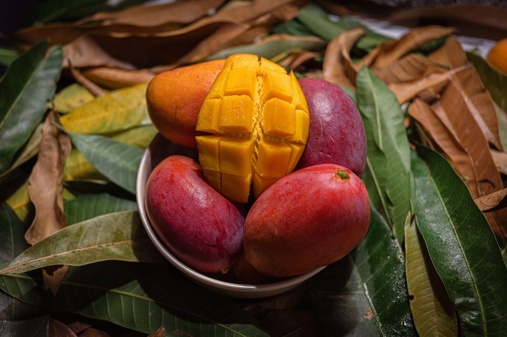 Ripe Dominican mango, graded and cut for export
