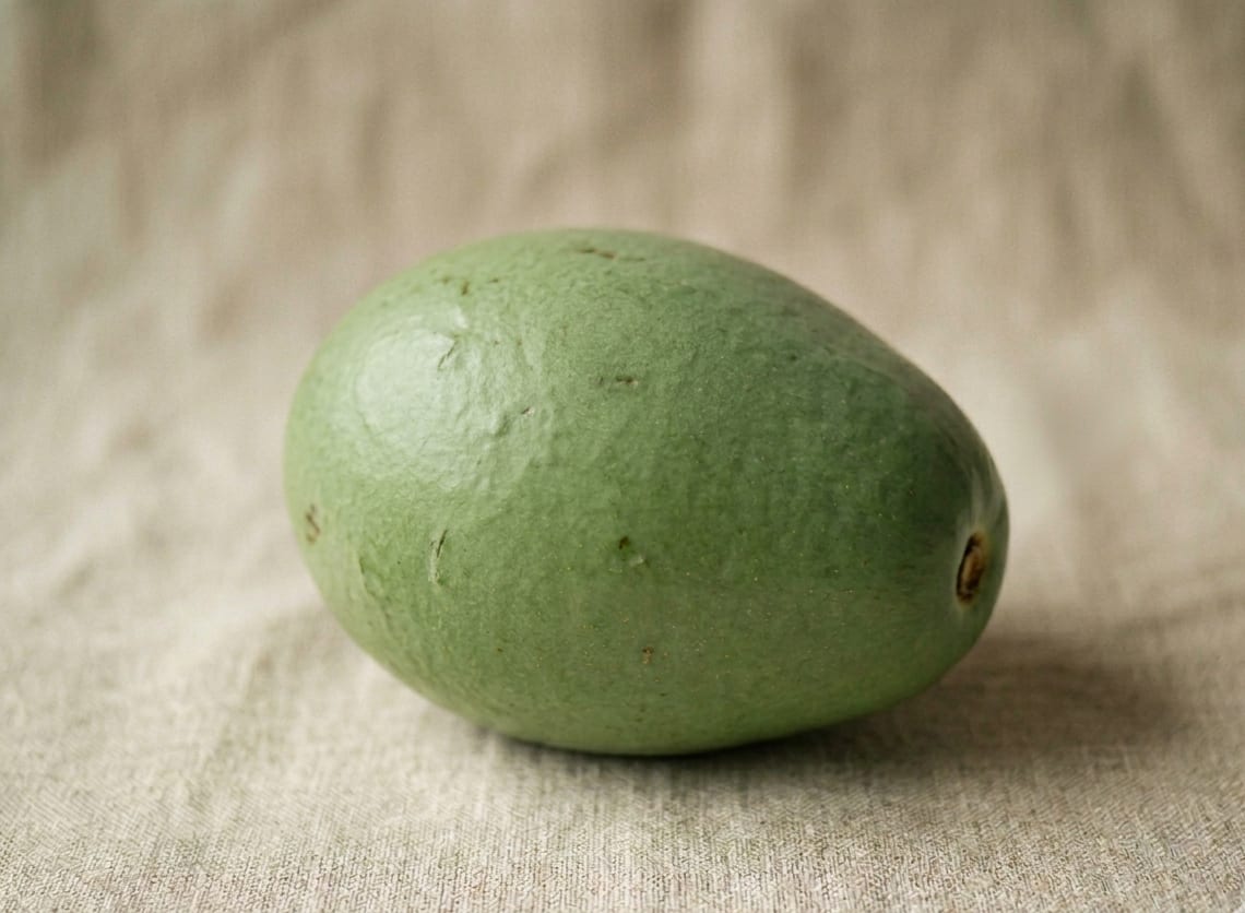 Carla avocado — largest Caribbean variety, round dusty-green fruit from the Dominican Republic