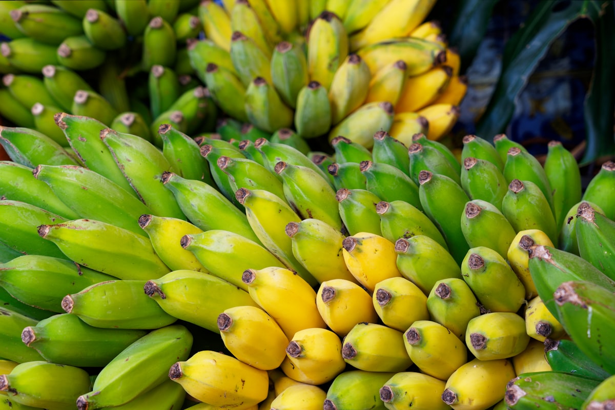 Fresh Cavendish bananas