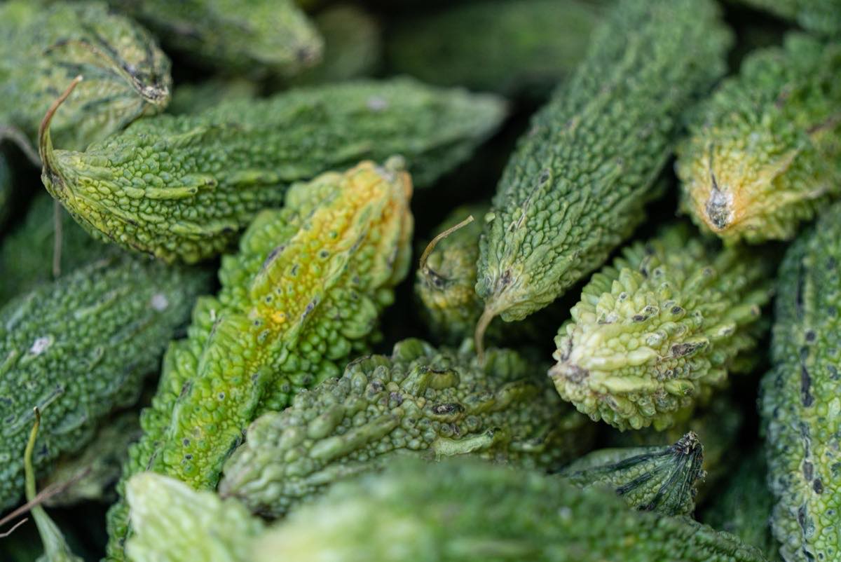 Bitter melon (cundeamor), ridged pale green gourds in bulk