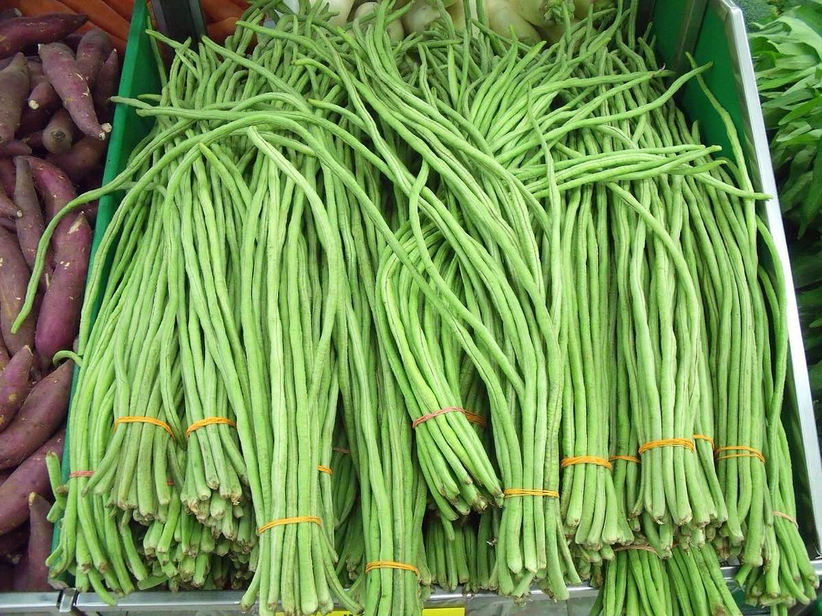 Chinese long beans banded into retail bunches on a produce display