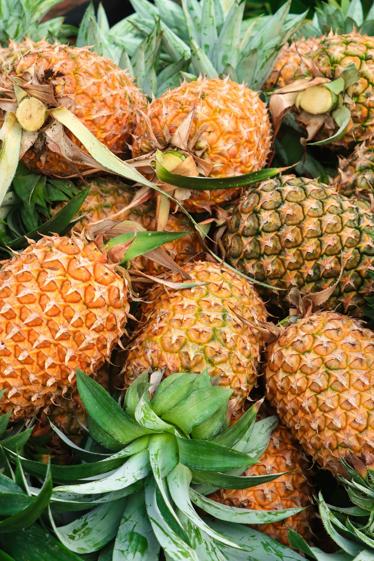 Fresh golden pineapples