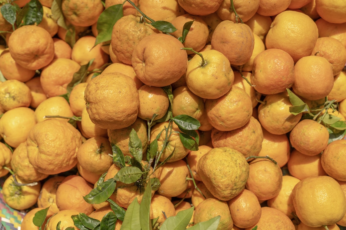 Fresh sour oranges