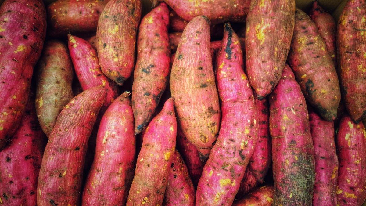 Fresh sweet potatoes (batata)